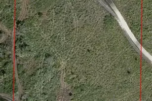 0 NW 313th St, Okeechobee, FL 34972 - Photo 4