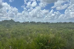 0 NW 313th St, Okeechobee, FL 34972 - Photo 2