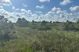 0 NW 316th St, Okeechobee, FL 34972 - Photo 2