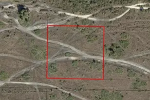 0 NW 318th St, Okeechobee, FL 34972 - Photo 2