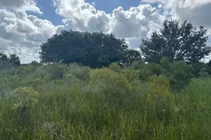 0 NW 316th St, Okeechobee, FL 34972 - Photo 2