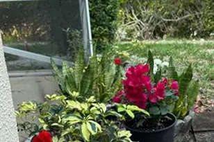 8891 Bella Vista Dr, Boca Raton, FL 33433 - Photo 14