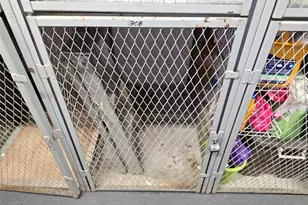 251 SW 132nd Way, Pembroke Pines, FL 33027 - Photo 16