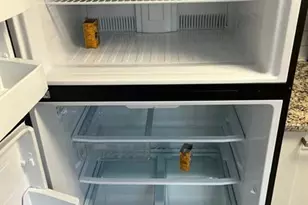 144 Mansfield D, Boca Raton, FL 33434 - Photo 16