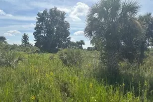 0 NW 310th St, Okeechobee, FL 34972 - Photo 2