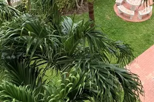 200 S Birch Rd, Fort Lauderdale, FL 33316 - Photo 14