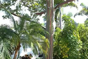 2708 NE 10th Terrace, Wilton Manors, FL 33334 - Photo 6