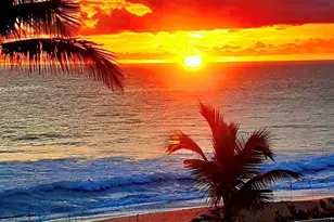 3308 Caracal Dr, Hutchinson Island, FL 34949 - Photo 52