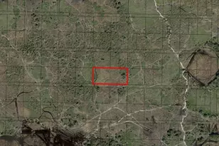 0 NW 310th St, Okeechobee, FL 34972 - Photo 2