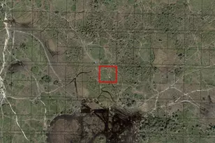 0 NW 310th St, Okeechobee, FL 34972 - Photo 2