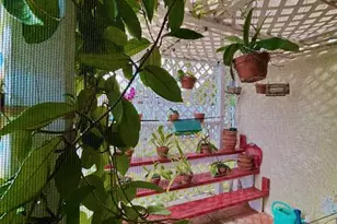 5971 NE 6th Ave, Fort Lauderdale, FL 33334 - Photo 28