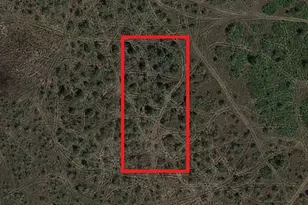 0 NW 310th St, Okeechobee, FL 34972 - Photo 2