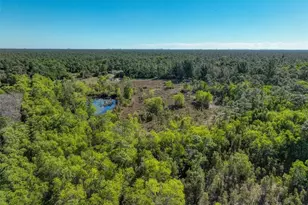 12333 N 142nd Ct, West Palm Beach, FL 33418 - Photo 12