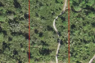 0 Alturas Babson Park Cutoff Rd, Lake Wales, FL 33859 - Photo 2