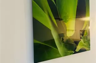 6300 S Falls Cir Dr, Lauderhill, FL 33319 - Photo 8