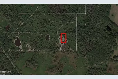 0  County Rd 54 E, Kathleen, FL 33849 - Photo 2