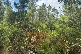 0 Hwy 630 E, Frostproof, FL 33843 - Photo 2