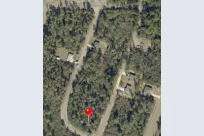 Tbd Fisher Way Track  Fisher Way, Ocklawaha, FL 32179 - Photo 2