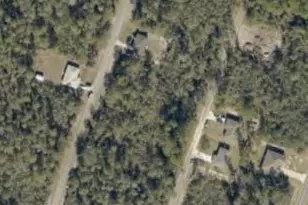 Tbd Fisher Way Track Fisher Way, Ocklawaha, FL 32179 - Photo 2