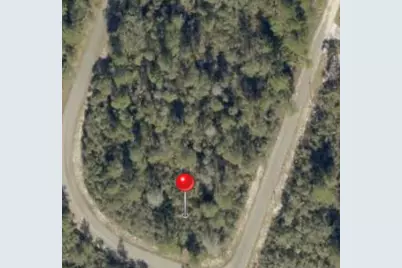 Tbd Fisher Way Track  Fisher Way, Ocklawaha, FL 32179 - Photo 1