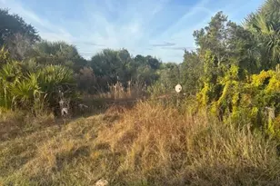 20745 NW 302nd St, Okeechobee, FL 34972 - Photo 2