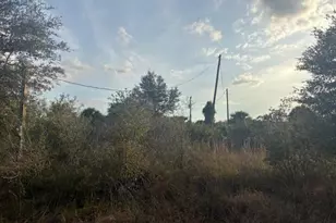 20745 NW 302nd St, Okeechobee, FL 34972 - Photo 8