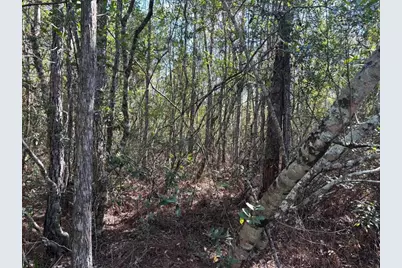 0  Holopaw Groves Rd, Saint Cloud, FL 34772 - Photo 1