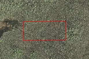 0 Holopaw Groves Rd, Saint Cloud, FL 34772 - Photo 1