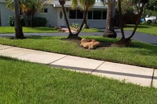 2417 NE 15th Ave, Pompano Beach, FL 33064 - Photo 24