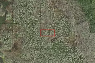 0 Holopaw Groves Rd, Saint Cloud, FL 34772 - Photo 1