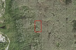 0 Holopaw Groves Rd, Saint Cloud, FL 34772 - Photo 1