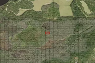 0 Holopaw Groves Rd, Saint Cloud, FL 34772 - Photo 2