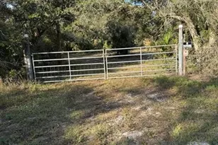 20271 NW 296th St, Okeechobee, FL 34972 - Photo 2