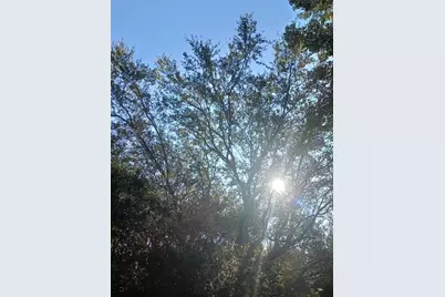 127  Orchard Avenue, Other City - In The State Of Florida, FL 32178 - Photo 1