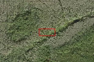 0 Holopaw Groves Rd, Saint Cloud, FL 34772 - Photo 1