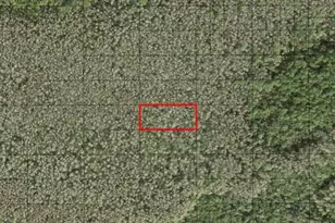 0 Holopaw Groves Rd, Saint Cloud, FL 34772 - Photo 1