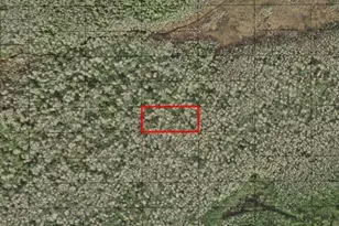 0 Holopaw Groves Rd, Saint Cloud, FL 34772 - Photo 1