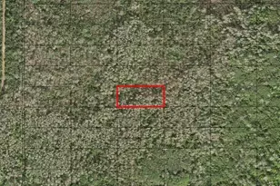 0 Holopaw Groves Rd, Saint Cloud, FL 34772 - Photo 1