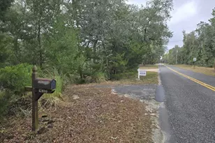 12890 NW 90 Ave, Chiefland, FL 32626 - Photo 1