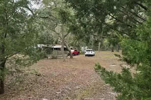 12890 NW 90 Ave, Chiefland, FL 32626 - Photo 4