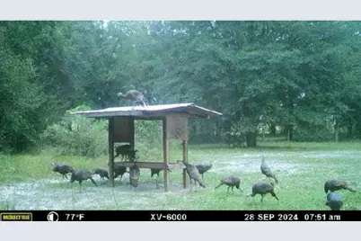 800 SW Applewood Glen, Fort White, FL 32038 - Photo 2