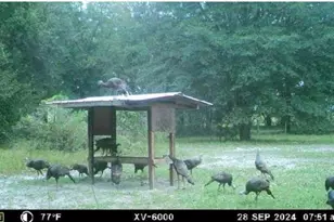 800 SW Applewood Glen, Fort White, FL 32038 - Photo 2