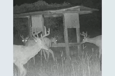 800 SW Applewood Glen, Fort White, FL 32038 - Photo 8