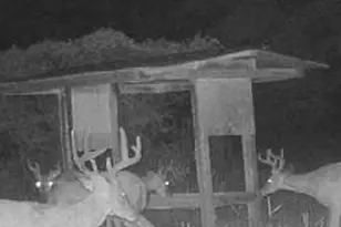 800 SW Applewood Glen, Fort White, FL 32038 - Photo 8