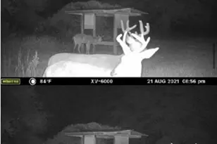 800 SW Applewood Glen, Fort White, FL 32038 - Photo 6