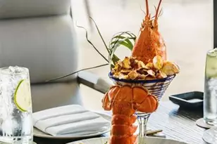 2295 NW 53rd St, Boca Raton, FL 33496 - Photo 64