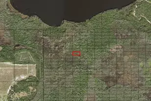 0 Holopaw Groves Rd, Saint Cloud, FL 34772 - Photo 1