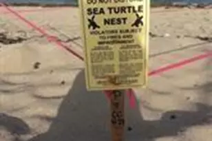 3236 NE 5th St, Pompano Beach, FL 33062 - Photo 28