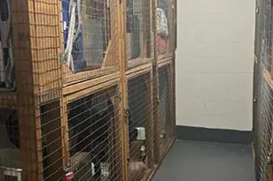 3015 S Ocean Blvd, Fort Lauderdale, FL 33308 - Photo 20