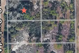 811 Gaylord Ave, Lehigh Acres, FL 33974 - Photo 1